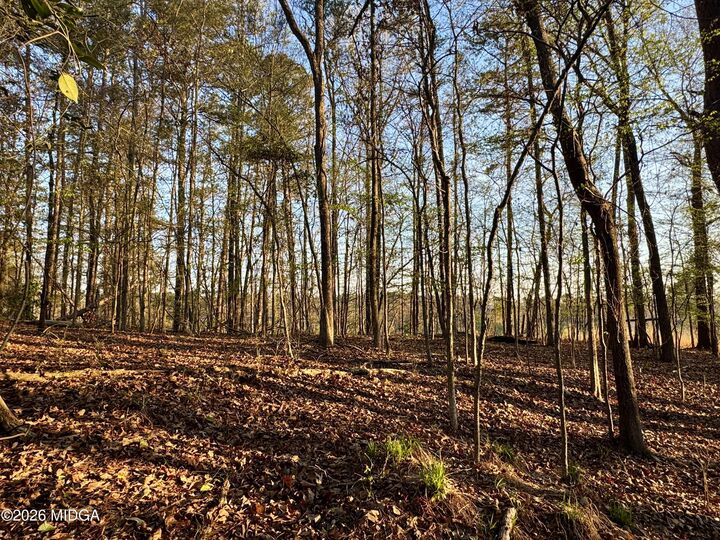 Property Photo: 1972 Wood Valley Road GA 31211