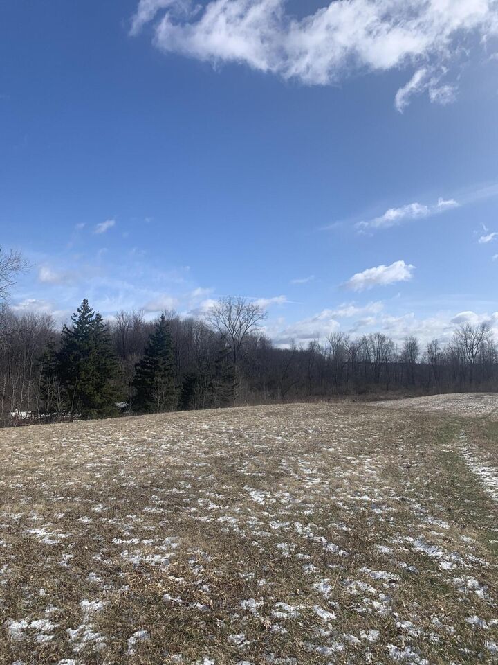 Property Photo:  9350 Peach Ridge Avenue NW  MI 49345 