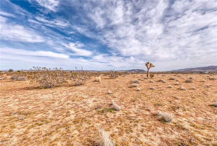 Property Photo:  147 Little Road  CA 92252 
