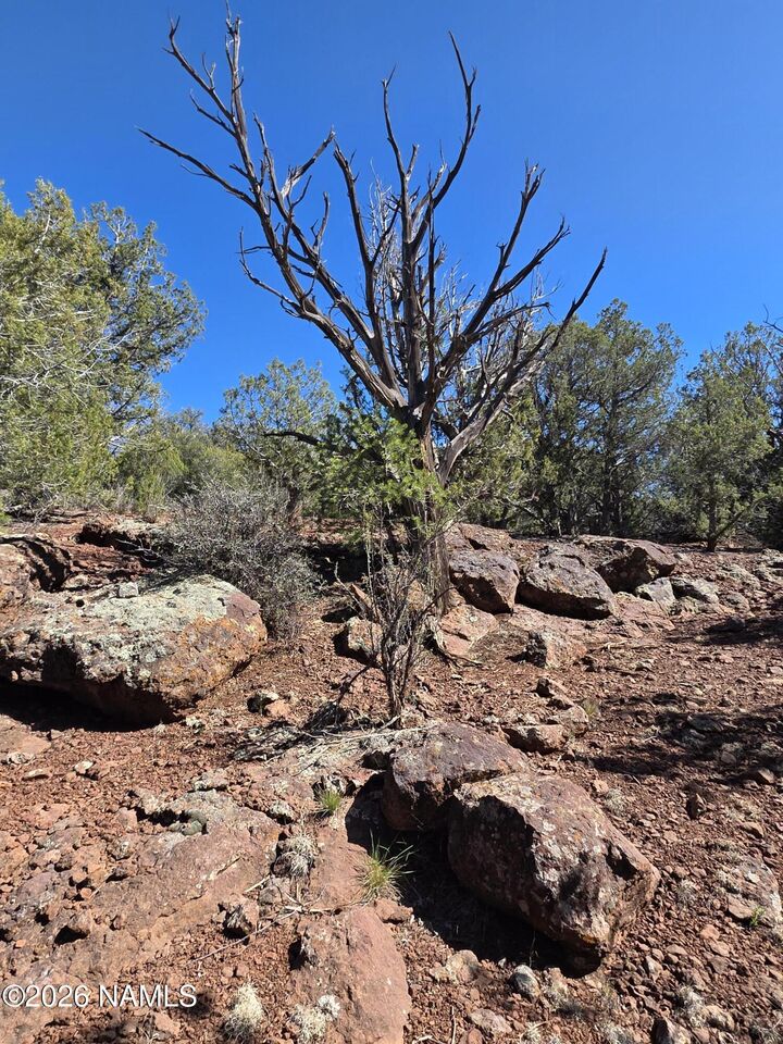 Property Photo:  Parcel #205-33-005  AZ 86046 