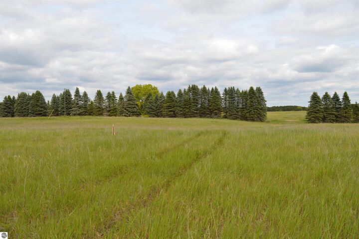 Property Photo:  O Summit City Road  MI 49649 