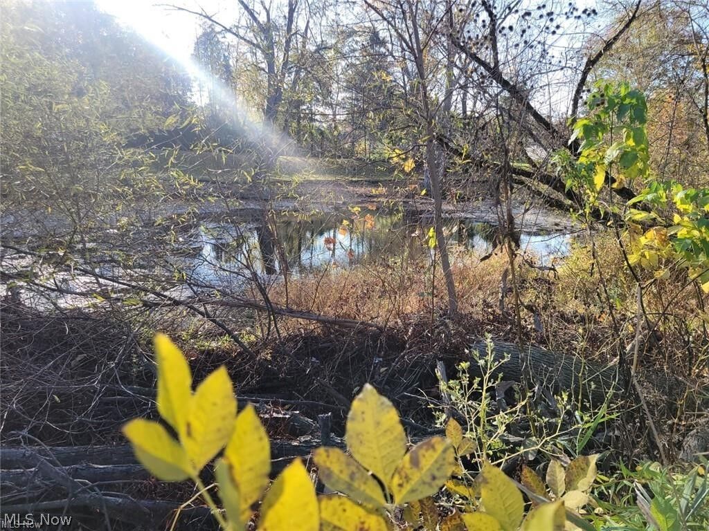 Property Photo: V/L East Avenue OH 44035