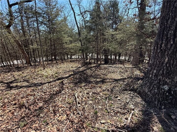 Property Photo: Rocky Top Circle AR 72631