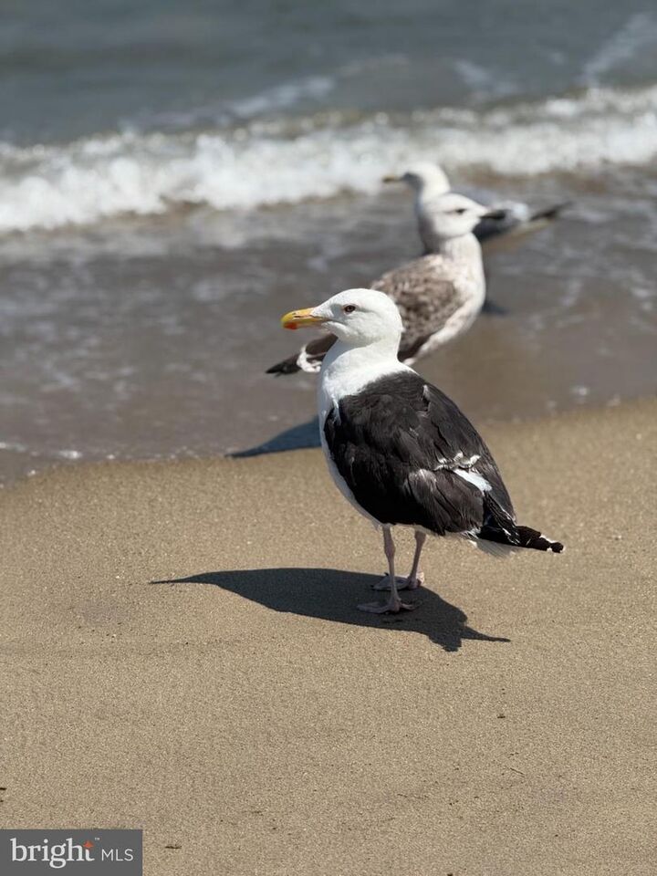 Property Photo:  210 Carter Avenue  NJ 08742 