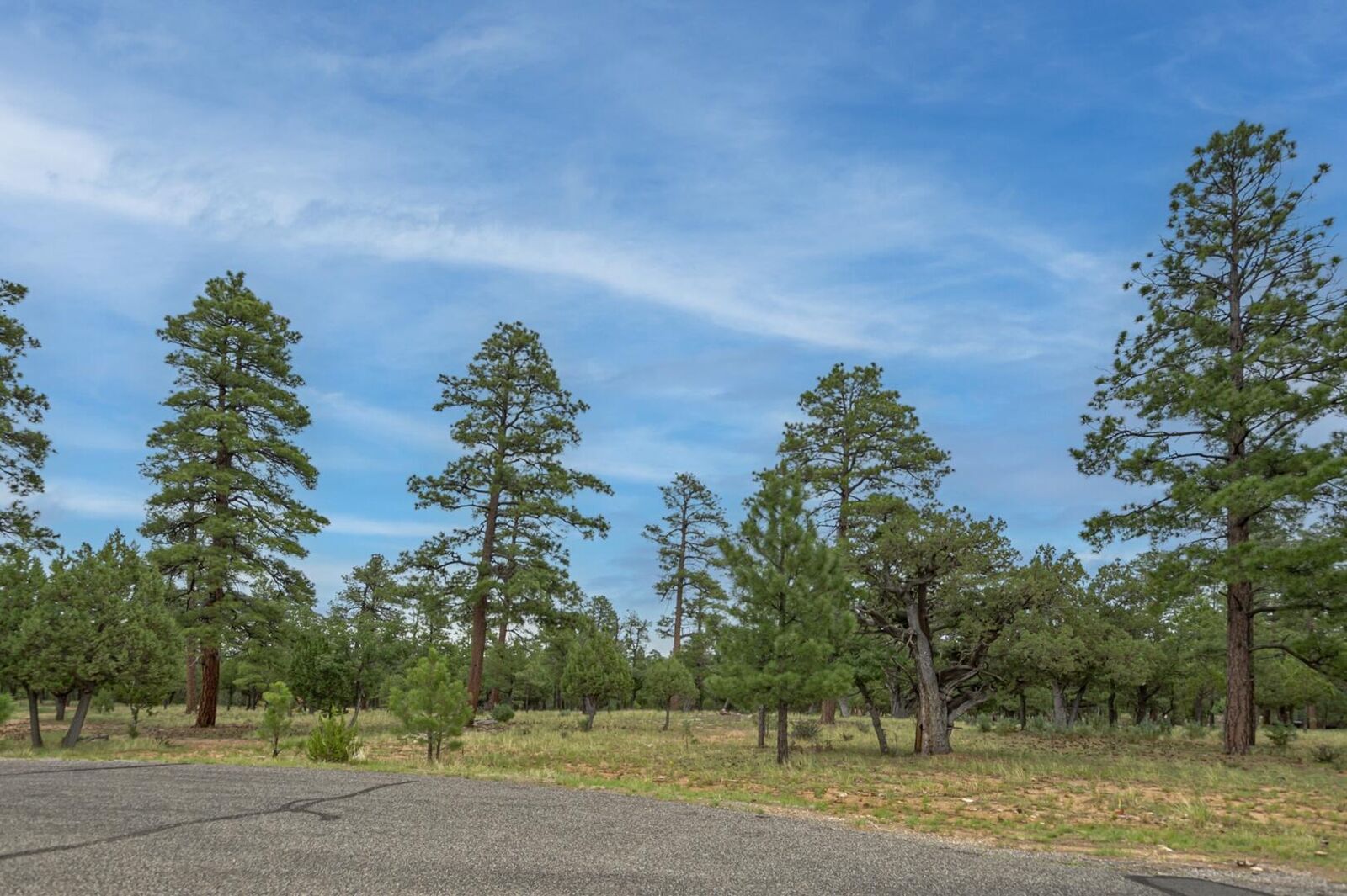 Property Photo: 2961 Eagle Ridge Circle AZ 86024