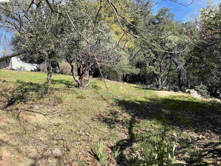 Property Photo:  16505 S Creekside Dr  CA 95370 