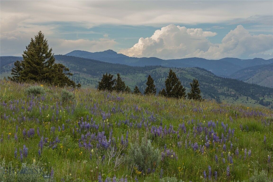 Property Photo: 3 Tract, Bull Elk MT 59832