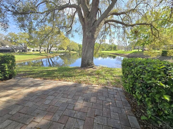 Property Photo:  3466 Sutton Place  FL 34684 