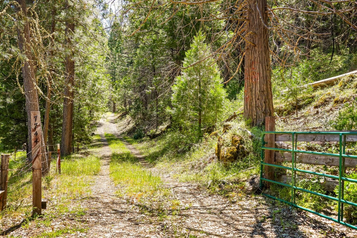 Property Photo:  7698 Swiss Ranch Road  CA 95246 