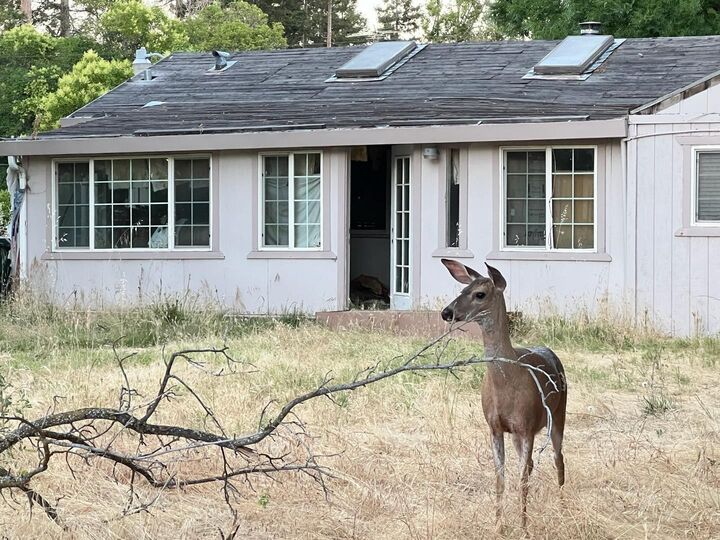 Property Photo:  3244 Panama Avenue  CA 95608 