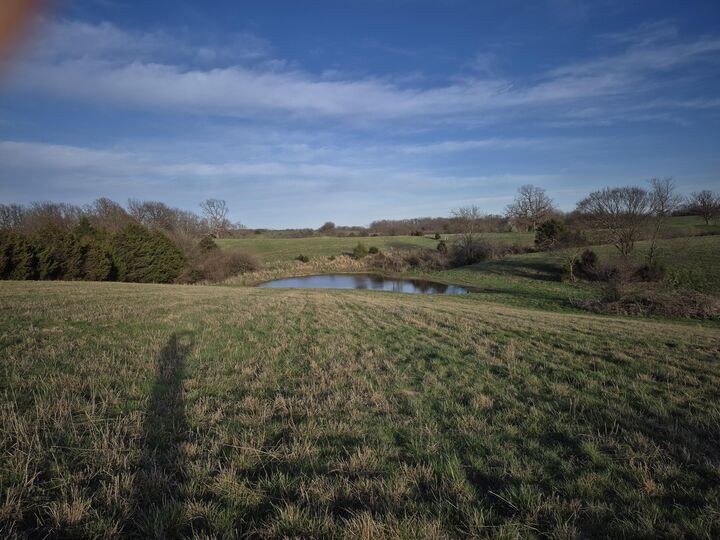 Property Photo:  000 S Farm Road 11  MO 65604 