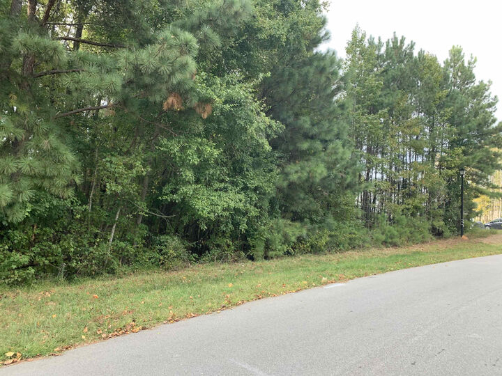 Property Photo:  4553 Ashley View Lane  NC 27565 