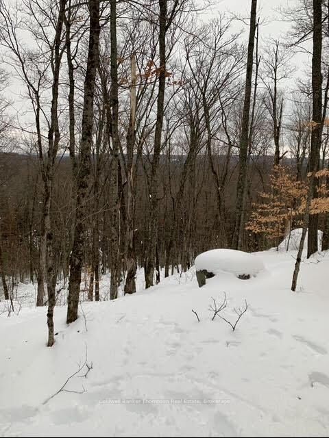 440 Riding Ranch Road — photo 1
