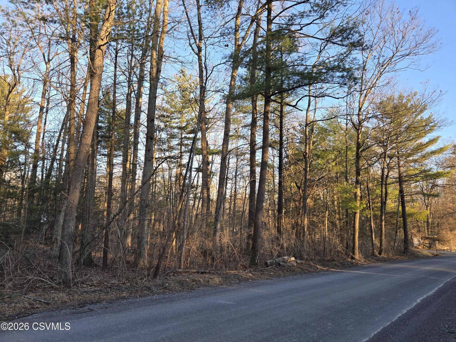 Property Photo:  Lot 4 Diehl Road  PA 17844 