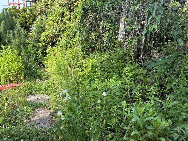 Property Photo:  68 Village  Rd.  ME 04680 