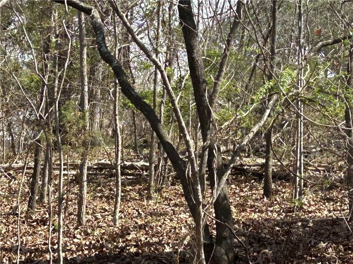 Property Photo: Tbd Trammell (Lot 8) Drive AR 72745