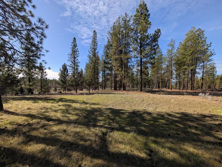 Property Photo:  28660 Yonna Wood Road  OR 97623 