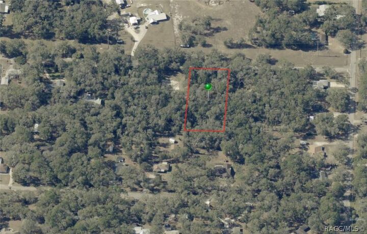 Property Photo: 3987 S Big Al Point FL 34452