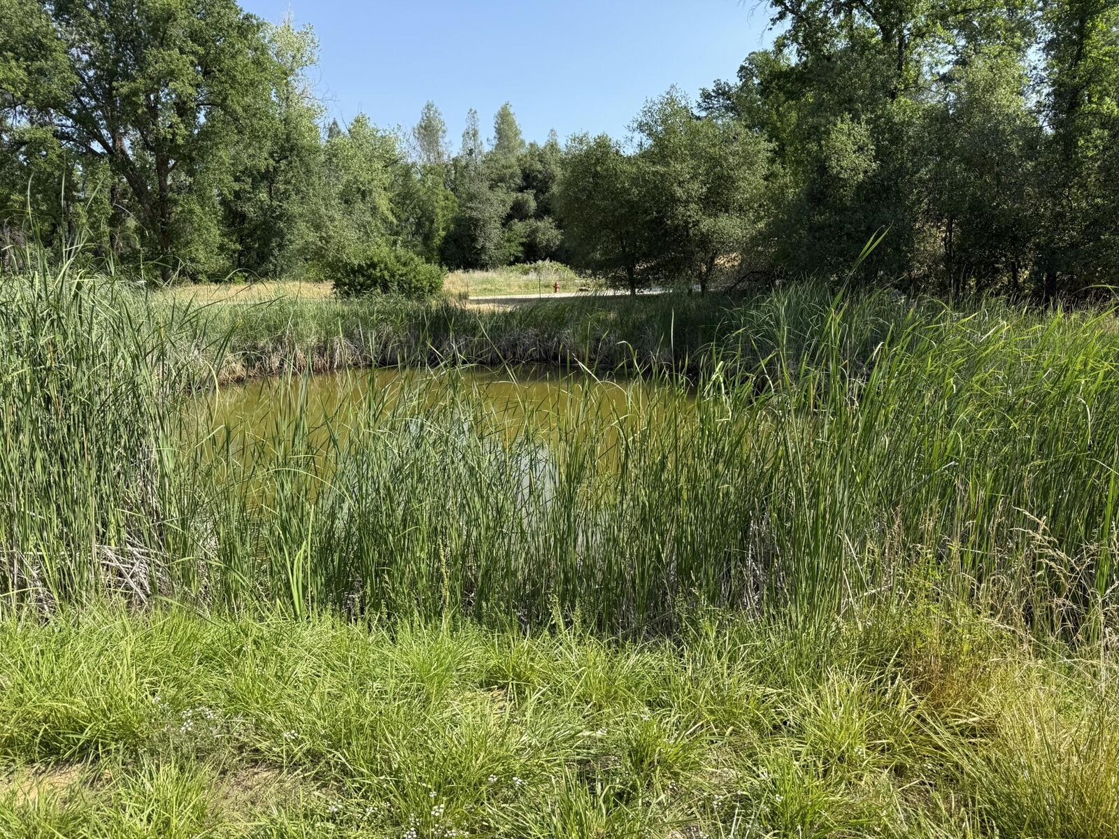 Property Photo:  7780 Raven Road  CA 96001 