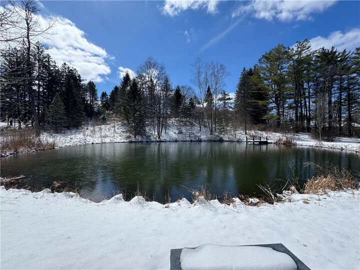 Property Photo:  15 Lisa Lane  NY 14850 