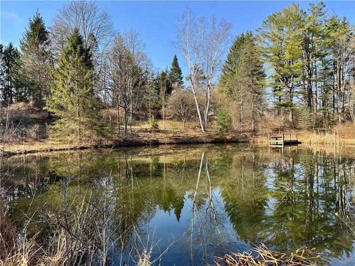 Property Photo:  15 Lisa Lane  NY 14850 