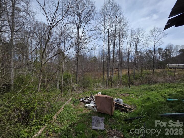 Property Photo:  41 Jack Rabbit Drive  NC 28752 