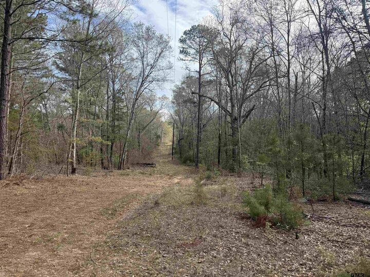 Property Photo:  15485 Cr 46  TX 75704 