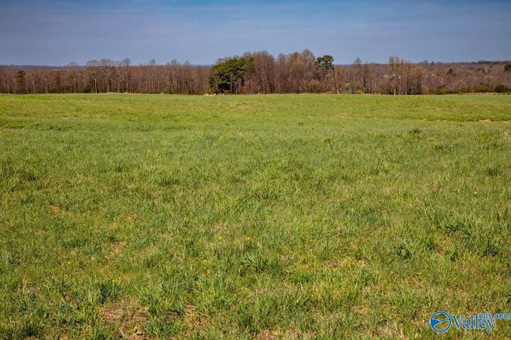 Property Photo: 85 Acres Woodland Drive AL 35981
