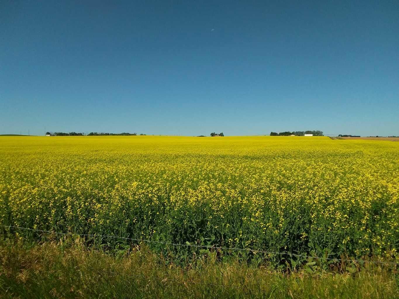 Property Photo: 422914 SW,SE AB T0L 0V0