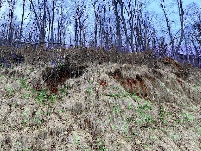 Property Photo:  89 Weeping Cherry Forest Road  NC 28730 