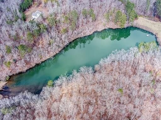 Property Photo: 0 Williams Tract D Lane GA 30107