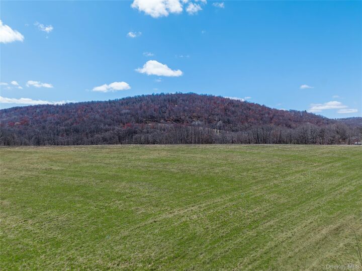 Property Photo: Lot # 8 McGhee Hill Road NY 12546