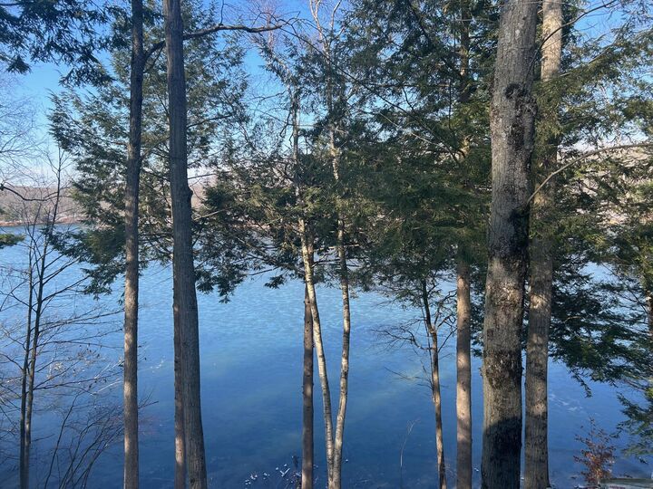 Property Photo: 8770 N Island Drive MI 49346