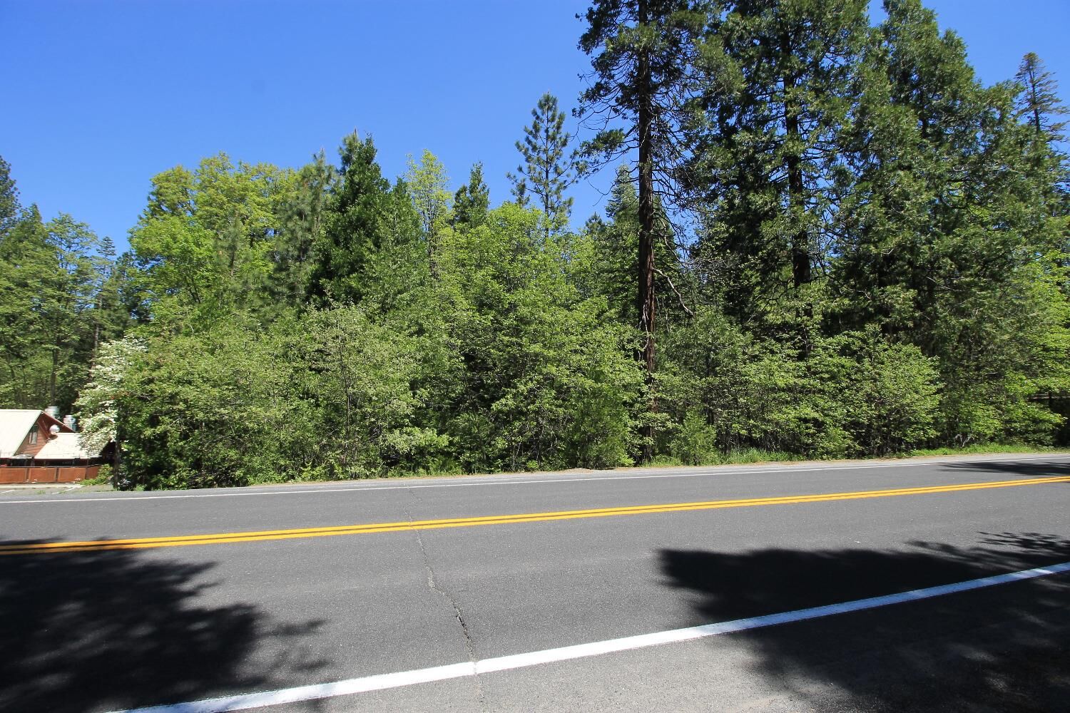 Property Photo: 772 Highway 4 CA 95223
