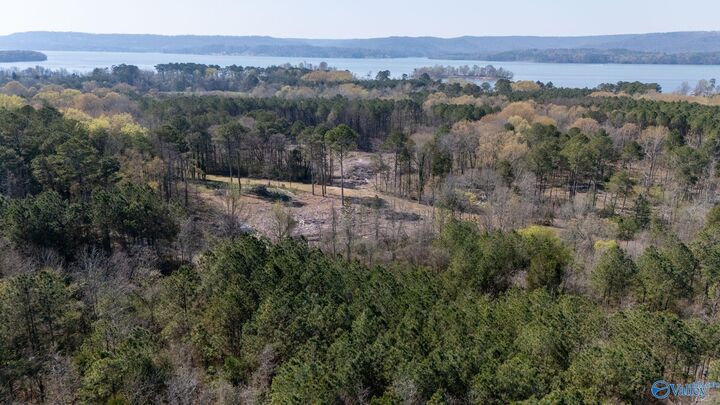 Property Photo:  20.6 Acres Murphy Hill Road  AL 35755 