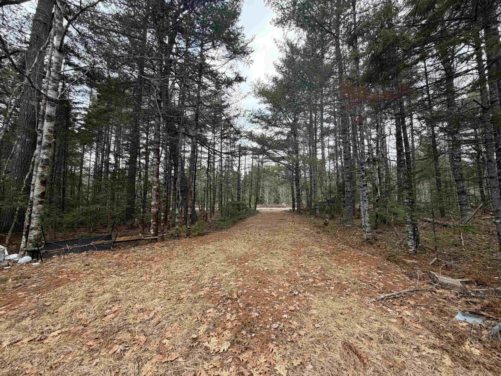 Property Photo:  Lot 5 Upper Clyde Road  NS B0T 1W0 