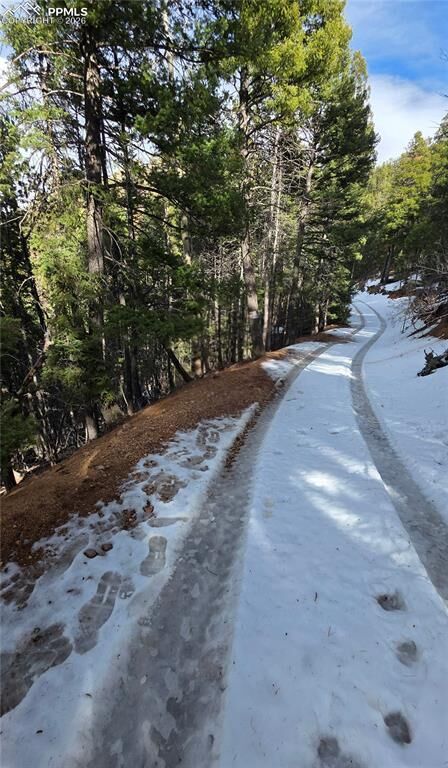 Property Photo:  157 Gitchigoomee Trail  CO 80863 