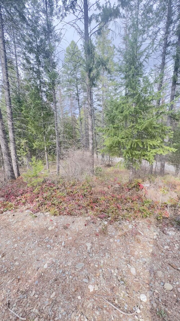 Property Photo:  Nkn Wilderness Ave  WA 99139 