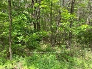 Property Photo:  338 Glen Allen Road S  ON K0K 2M0 