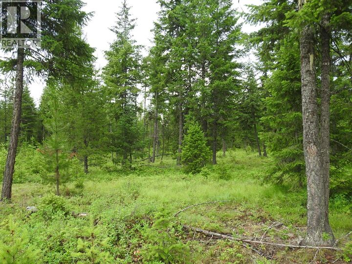 Property Photo:  9700 Hwy 6 Other  BC V0G 1J0 
