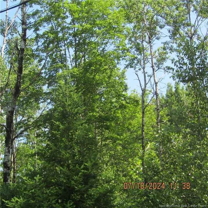 Property Photo: Lot 82-11 Route 770 NB E5C 1E9