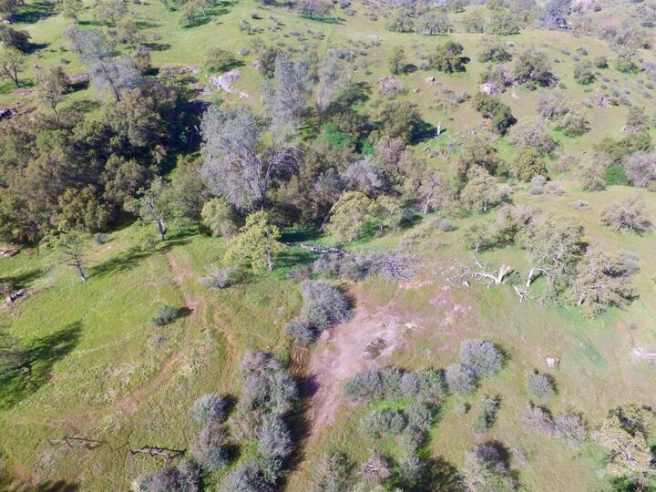 Property Photo:  12 11.81 Ac Road 400  CA 93636 