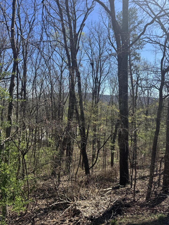 Property Photo:  Lot 22 Stoney Point Circle  GA 30740 