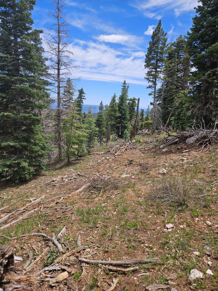 Property Photo:  6250 W Brook Ln  UT 84762 