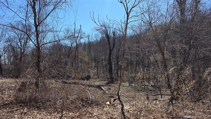 Property Photo:  91 Barrett Hill Road  NY 10512 