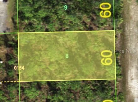 Property Photo: 12293 Camphor Drive FL 33955