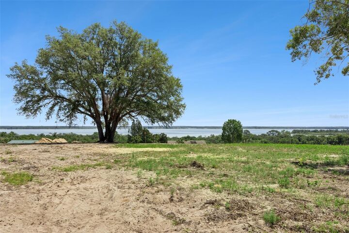 Property Photo: 0000 Bertsville &Amp Griffin View Road FL 32159