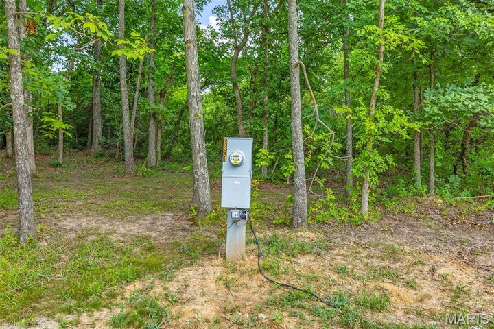 Property Photo:  9793 Grove Drive  MO 63628 