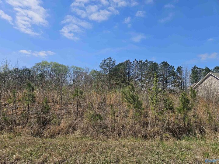 Property Photo: Lot 37 Southern Pine Drive AL 35773