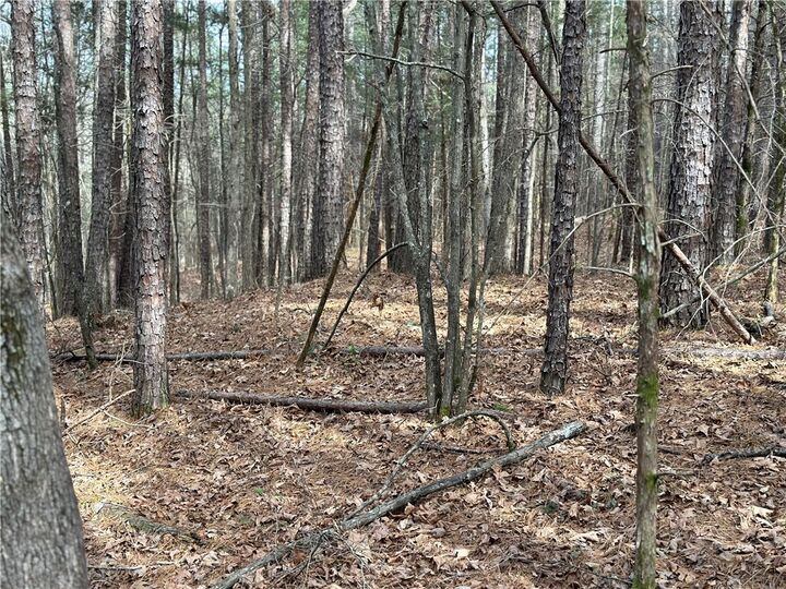 Property Photo:  Nc 6220  AR 72641 